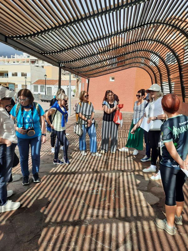 „Erasmus+“ patirtinio mokymosi kursuose Tenerifėje 5