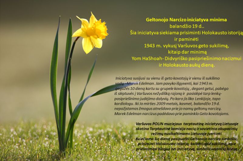 Tarptautinė Geltonojo narcizo iniciatyva