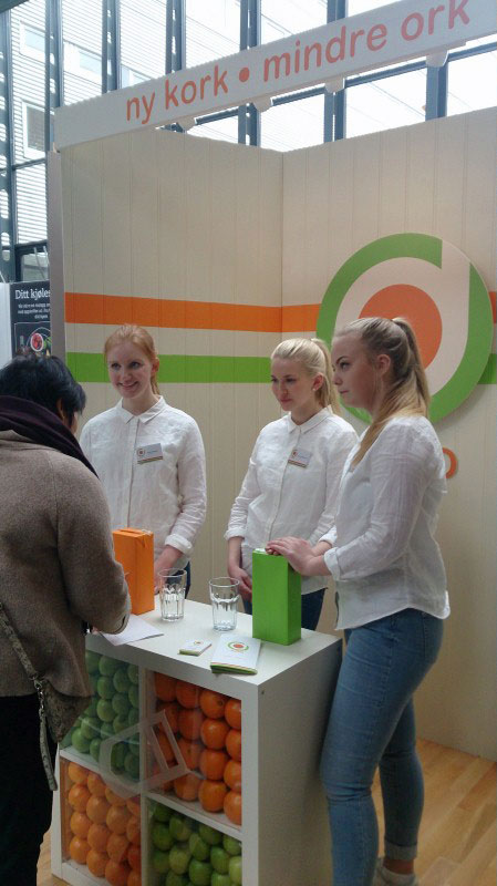 Verslumo projekto tęsinys Norvegijoje 11